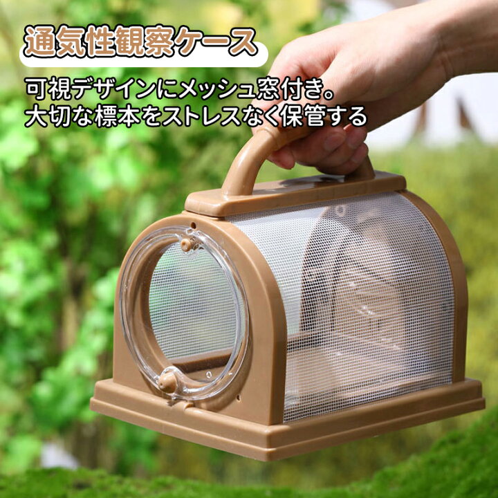 楽天市場】＼5倍ポイント／虫かご 昆虫ケース 飼育ケース 昆虫 観察 