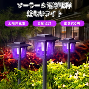 _|Cg20{^胉Cg \[[Cg  PxLED hho dd쏜 K[fCg _ OƖ z[d 뉀Cg Cg GRCg Ő |p