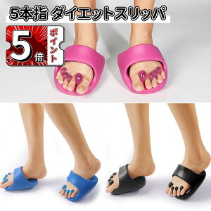 _5{|Cg^_CGbgXbp _CGbg  􂦂 ̊  N T_ 킢  r p ނ }bT[W c{ fB[X y Xbp wL