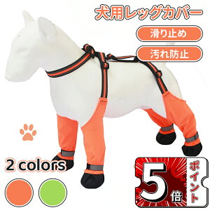 �_�X�[�p�[�Z�[���^���p���b�O�J�o�[ ���O�l�{���p���c ���p�V���[�Y �� ���C���V���[�Y �����ی� ����~�� ����h�~ ���o���� ���U�� ���h�~ �E���Ȃ� �h�b�O�u�[�c ����h�~ ���r�ߖh�~ 