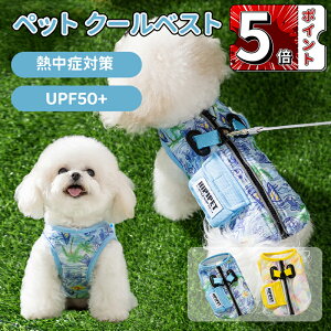 _5{|Cg^p N[xXg ybg  MǑ΍ N[xXg pĕ N[xXg ⊴ pxXg n[lX CM Ђ ʋC ^ ėp  [ht h
