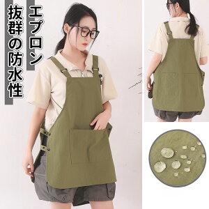 _5{|Cg^Gv  ۈm JtF Lb` 킢 h^ ꂢ  lGv fB[X s[X fB[X Y 傫TCY | k Vv 