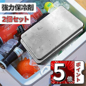 \5倍ポイント/2個セット 保冷剤 ステンレス 保冷剤 クーラーボックス用保冷剤 倍速凍結 長時間 強力 驚異の保冷力 最高な冷却用品 防災 長持ち再利用可 薄型 軽量 【倍速凍結&長時間保冷