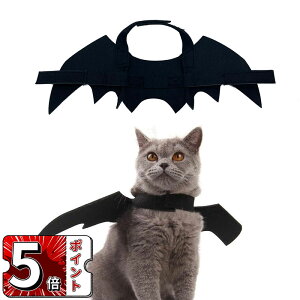 _5{|Cg^nEB  nEBpobgEBOybg h tFgf halloween ͋C_ nEB[ ȒPɑł  O p[eB[p L⏬^ɂ҂