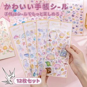 �ySNS�ő�l�C&�V�����z�蒠 �V�[�� ���킢�� 12���Z�b�g �蒠�V�[�� �蒠�X�e�b�J�[ �V�[�� �f�R�V�[�� �L���L�� �f�R ������� �蒠�p�V�[�� ��������