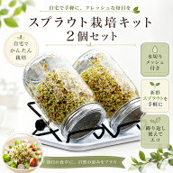 スプラウト栽培キット 水耕栽培 家庭用 2個セット ガラス瓶 メッシュ蓋 ステンレススタンド ブロッコリー…