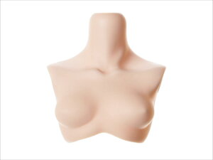 �������� OB50 �ێ�p�i 50cm���� �㓷 501 �z���C�e�B 50RP-F01WS-21