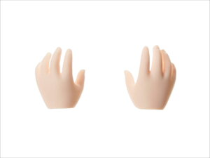 �������� OB50 �ێ�p�i 50cm���� �� 501 ���E�Z�b�g �z���C�e�B 50RP-F01WS-29