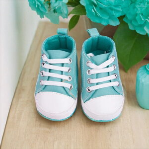 ySENzlarx0005 55cmAl`pC@ AԂ l` av[g  