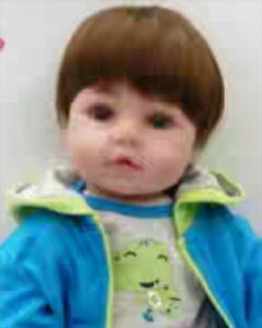 ySENzlarwig0003 55cmAl`pEBbO@ AԂ l` av[g  