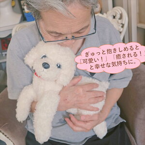 ySENznuidog0001-white 38cmʂ q A v[g gCv[h efB hbO { gCv[ ybg ^  ̂ʂ 킢    G q