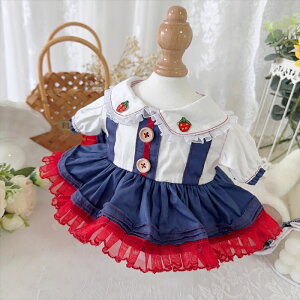 ySENzmhy0031 mZbgʂݐl`(10cm 15cm 20cm) Labubu 55cmAl`_btB[&Xe[