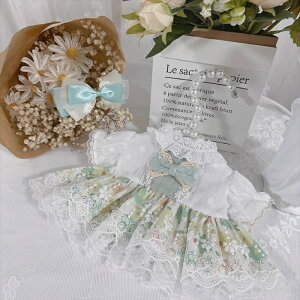 ySENzmhy0204 mZbgʂݐl`(10cm 15cm 20cm) Labubu 55cmAl`_btB[&Xe[