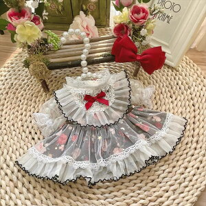 ySENzmhy0326 mZbgʂݐl`(10cm 15cm 20cm) Labubu 55cmAl`_btB[&Xe[