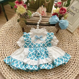 ySENzmhy0341 mZbgʂݐl`(10cm 15cm 20cm) Labubu 55cmAl`_btB[&Xe[