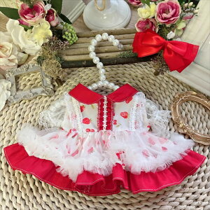 ySENzmhy0451 mZbgʂݐl`(10cm 15cm 20cm) Labubu 55cmAl`_btB[&Xe[