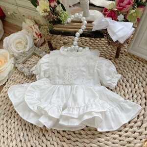 ySENzmhy0467 mZbgʂݐl`(10cm 15cm 20cm) Labubu 55cmAl`_btB[&Xe[