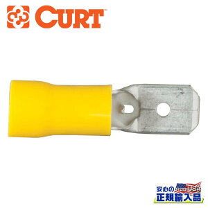 yCURT(J[g)K㗝Xz12-10 CQ[W NCbNRlN^[ IX[q 100ėp