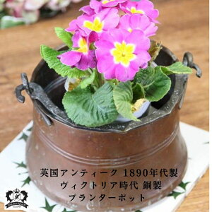 v^[ v^[|bg AeB[N CMX p COPPER Rbp[ Jbp[  ԕr  K[fjO g AG Ai AeB[NG  A [bp oP