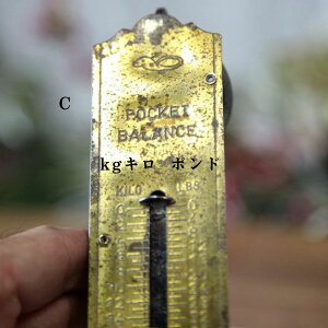 XP[ AeB[N CMX p ͂ v ʂ AG AeB[NG Lb`XP[ Lb`XP[ V Lb` \^[ nMOXP[ SALTER tbN