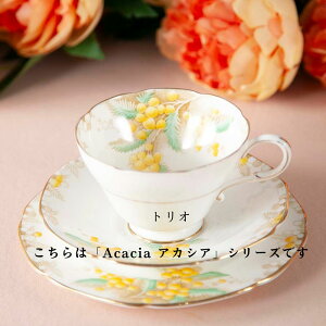 yVizpS _ug _u g AJVA Acacia gI v[g BBv[g CMX ÉpB pG AeB[NG H ԕ