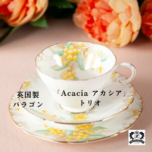 �p���S�� �_�u���������g �A�J�V�A Acacia �g���I �J�b�v���\�[�T�[ �C�M���X �����É���p�B ���B���e�[�W�H�� �C�M���X�H�� �A���H�� �p���G�� �H�� �ԕ� �p���G�� �C�M���X�� ���킢�� ��