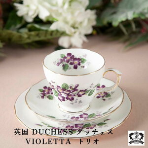 yViz_b`FX DUCHESS gI VIOLETTA BIb^ rIb^ CMX Jbv\[T[ p Be[W   킢 uh JbvAh\[T[ eB[Jbv 