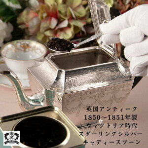 yNX}XN[|zAeB[N 1850`1851N LfB[Xv[  Xv[ CMX p X^[OVo[ Jg[ g v t BNgA rNgA 