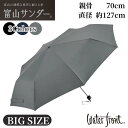 折りたたみ傘 ウォーターフロント Waterfront 富山サンダーインバッグ ビッグ 大きい 70cm UVブロック 雨傘 折りたたみ傘 折傘 丈夫 メンズ レディース 手開き フォーマル カジュアル ギフト 傘 撥水