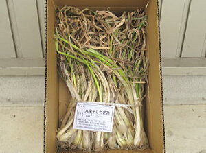 lMc1F800g`900g