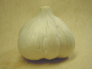 zCgjjN 1