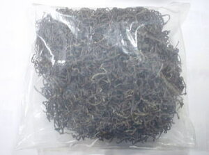 ܂ 100g R`Y
