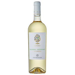 T }c@[m C v[ }@W[A \[Bj 2024 750mlmC^A v[A Tg C h }@WA /MnmËނׂICn