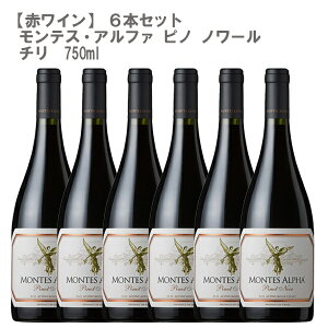 eXEAt@ sm m[ 750ml ×6{ZbgbCZbg ` ԃC