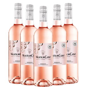 \GI yɊy߂郏CZbg [gEJfE[ 750ml×5{tX {h[Y [C h CZbg Mtg ƈ 