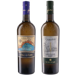 ɔQɍC^A C̃CZbg 750ml×2{ZbgmC^A v[A C h CZbg ɍ V[t[h ~l /Mnmn