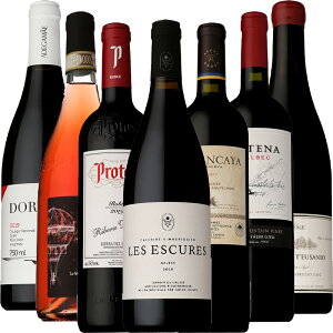 \GI ɍ C 750ml×7{Zbg tX XyC C^A |gK A[` ԁE[ ~fBA ƈ ̓