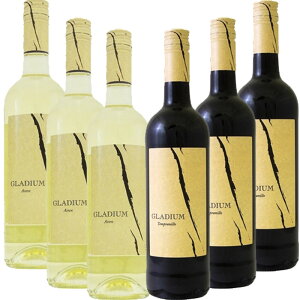 \GI yɈ߂郏COfBE   750ml 6{Zbg[XyC E}` CZbg]mn