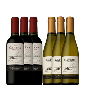 Jei }xbNVhl 375ml×e3{ v6{ZbgA[` h[T ԔC n[t{g h t[eB[  Mtg