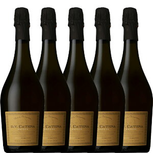 \GIԁIJei i`[ A 750ml ×5{ZbgmA[` h[T Xp[NOC h CZbg  | fC[C /Fn