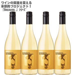 rR[Y AC Vhl t TEU tX 750ml×4{ytX C CZbg h Vhl100%zBecause,I'm Chardonnay from Southern France nʑ
