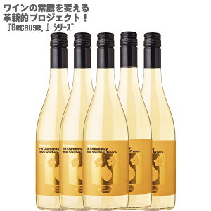 rR[Y AC Vhl t TEU tX 750ml×5{ytX C CZbg h Vhl100%zBecause, I'm Chardonnay from Southern France nʑ