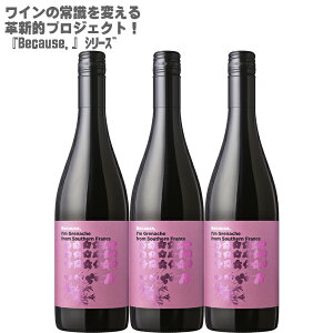 rR[Y AC OibV t TEU tX 750ml ×3{Zbg tX ԃC ~fBA OibV100% lCV[YBecause, IfmOibV100%ʎL