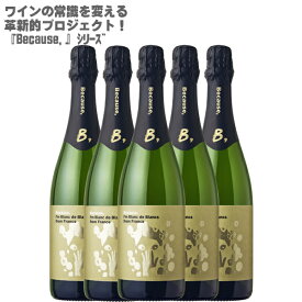 【地域別送料無料】ビコーズ アイム ブラン ド ブラン フロム フランス750ml×5本Because, I'm Blanc de Blancs from France【フランス スパークリング ワイン ワインセット 泡 辛口 シャルドネ 100% 】