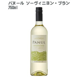 パヌール ソーヴィニヨン ブラン 750ml ［チリ 白ワイン 辛口］
