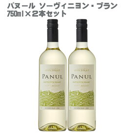 【白ワイン】 パヌール ソーヴィニヨン ブラン 白 750ml×2本 【 チリ 白ワイン 辛口 】