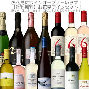 お花見ワインよりどり4本セット!750ml×4本!【赤1本:白1本:泡1本:ロゼ1本:合計4本】【 ワインセット 花見 桜 フランス イタリア スペイン ドイツ チリ アルゼンチン BBQ パーティー 家飲み 】【