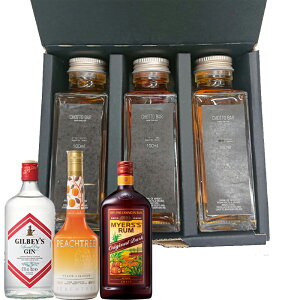 CHOTTO BAR uhT[ ݔ Zbg A 100ml ×3{Zbg[ƈ hV̓ ̓ o^C 蕨 v[g ɍœK ʂ蔄]yz