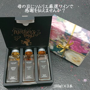 CHOTTO BAR \G Iݔ CMtg 100ml ×3{ Zbg iX^_[hj[C Zbg ̓ ̓ mather 蕨 v[g ɍœK ʂ蔄 ]y̓ ̑蕨Ɂz