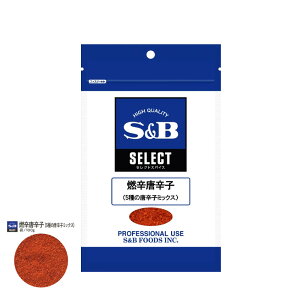 SB ZNg Rhhq 5̓hq~bNX 100g×1܃GXr[ Ɩp XpCX h h 